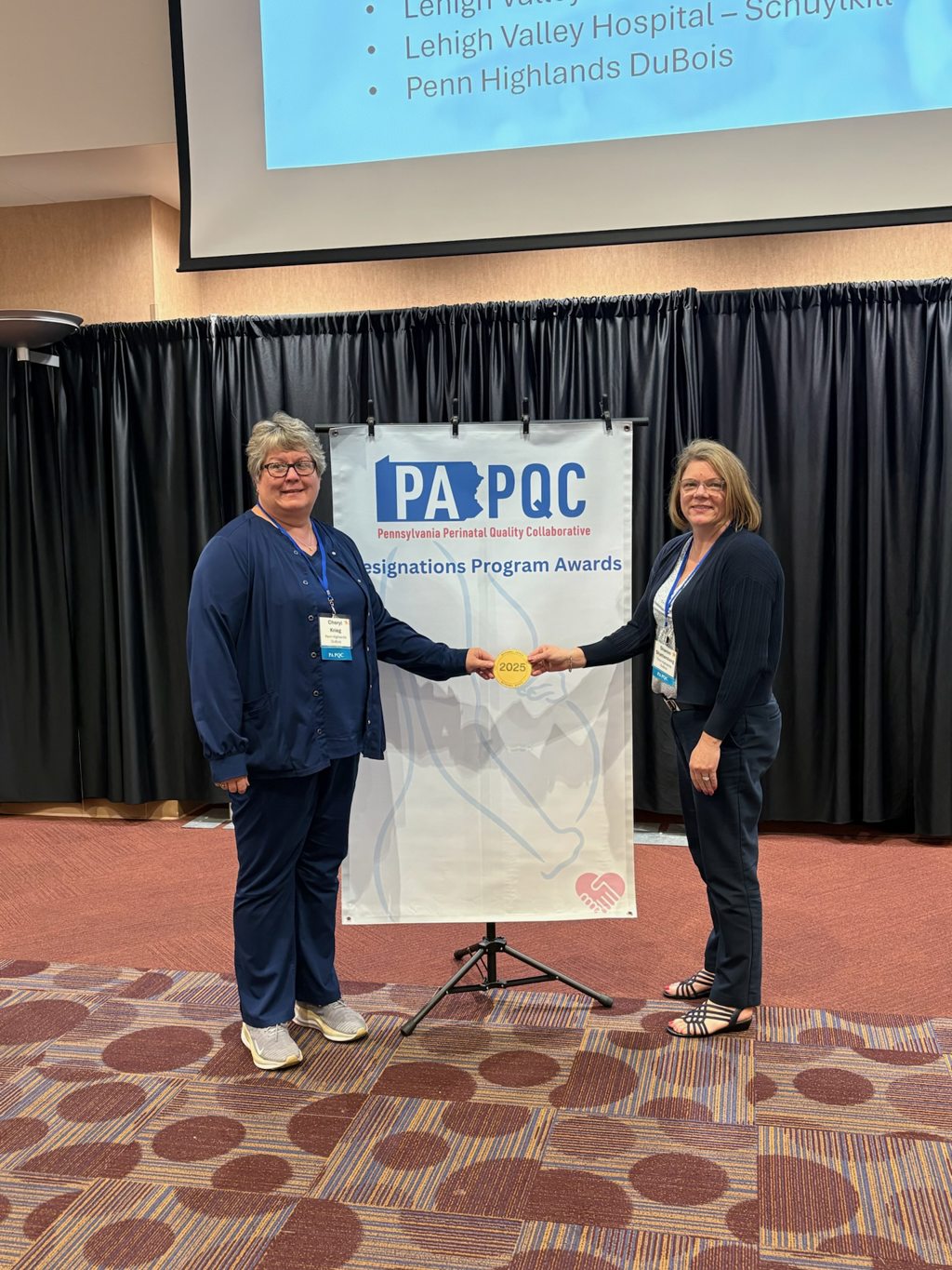 Perinatal Quality Improvement Designation