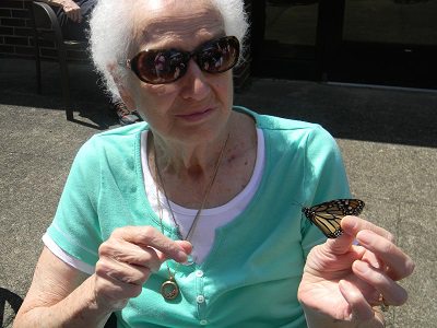 2016 Annual Butterfly Release