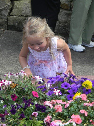 Child with Butterflies at Annual Butterfly Release